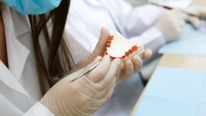 Dental Laborant Laboratory