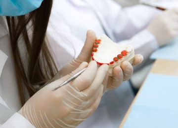 Dental Laborant Laboratory