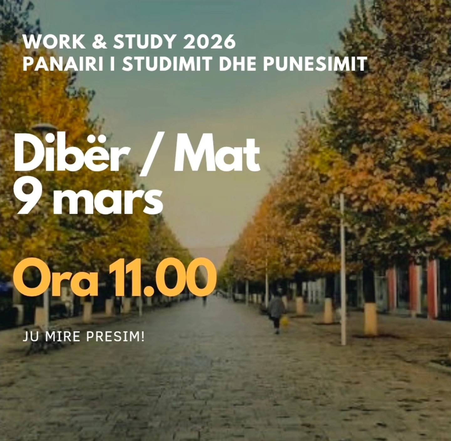 646133976_1508776301249298_6662810644484812159_n